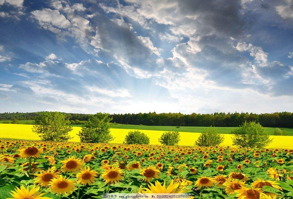 川稅協(xié)發(fā)〔2021〕33號(hào)四川省注冊(cè)稅務(wù)師協(xié)會(huì)關(guān)于印發(fā)中稅協(xié)《關(guān)于繼續(xù)認(rèn)定上海德勤等37家稅務(wù)師事務(wù)所為AAAAA級(jí)事務(wù)所、江蘇方正等34家稅務(wù)師事務(wù)所為AAAA級(jí)事務(wù)所的公告》的通知